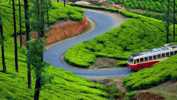 2N/3D- Misty Munnar Tour